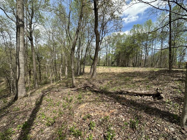 0 Maggart Rd, Elmwood, TN 38560