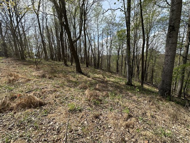 0 Maggart Rd, Elmwood, TN 38560