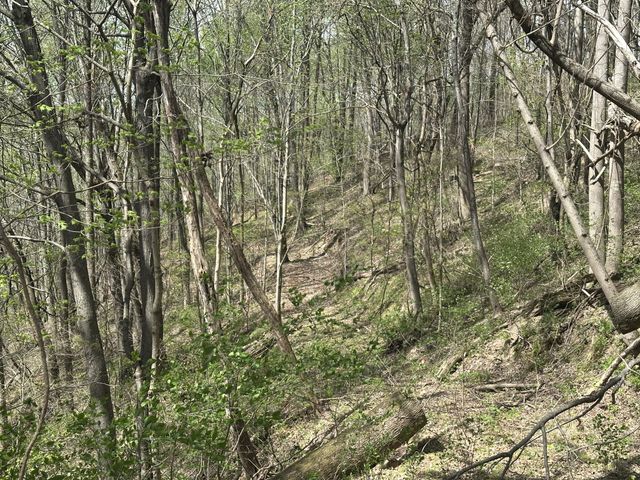 0 Maggart Rd, Elmwood, TN 38560