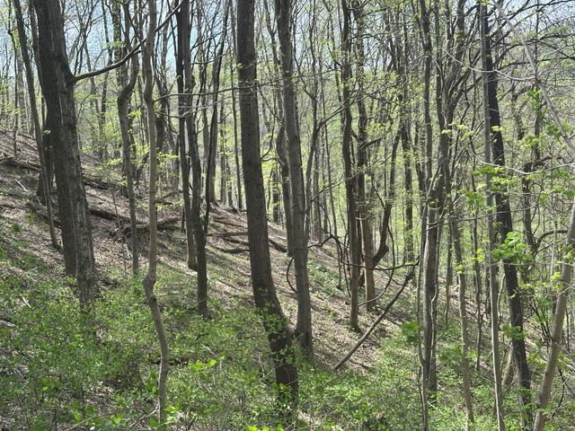 0 Maggart Rd, Elmwood, TN 38560