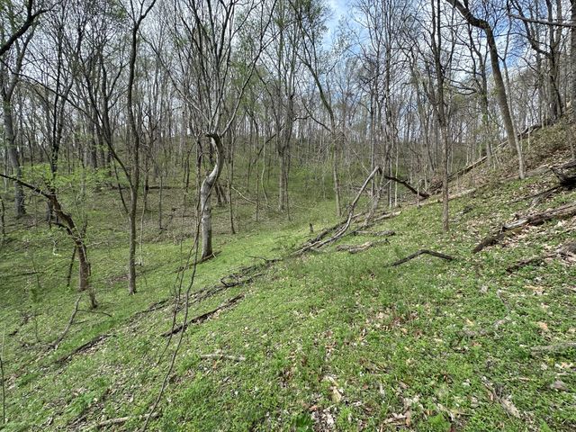 0 Maggart Rd, Elmwood, TN 38560