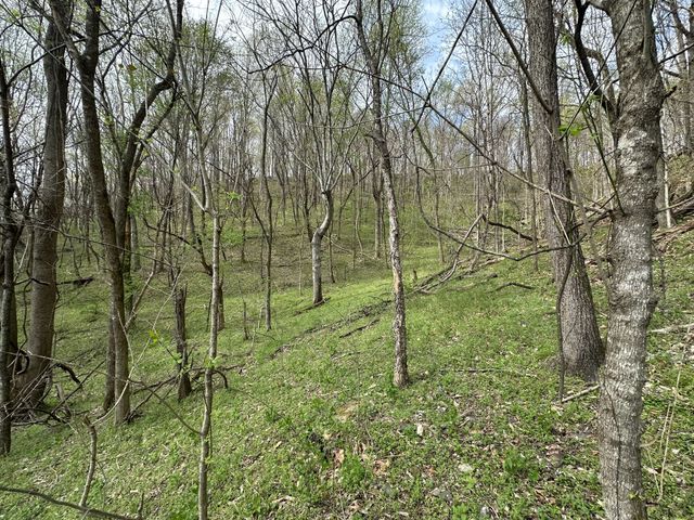 0 Maggart Rd, Elmwood, TN 38560