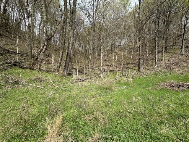 0 Maggart Rd, Elmwood, TN 38560
