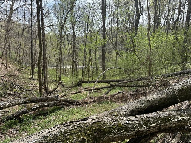 0 Maggart Rd, Elmwood, TN 38560