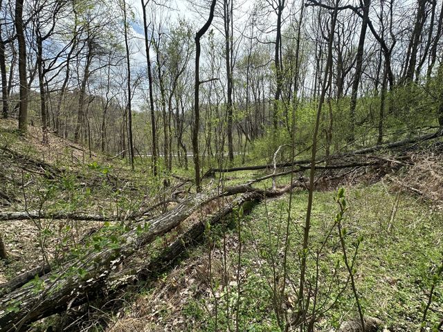 0 Maggart Rd, Elmwood, TN 38560