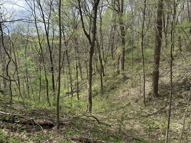 0 Maggart Rd, Elmwood, TN 38560