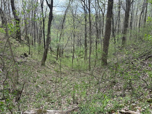 0 Maggart Rd, Elmwood, TN 38560