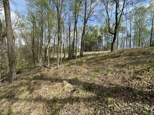 0 Maggart Rd, Elmwood, TN 38560