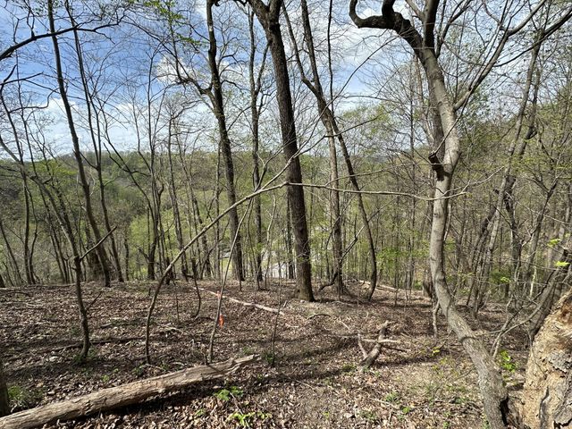 0 Maggart Rd, Elmwood, TN 38560