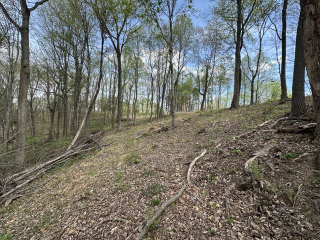 0 Maggart Rd, Elmwood, TN 38560