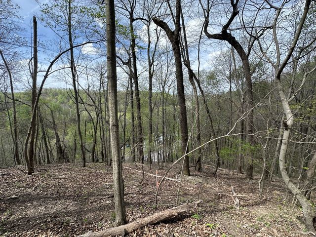 0 Maggart Rd, Elmwood, TN 38560