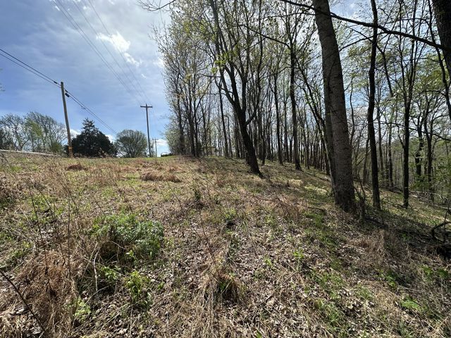 0 Maggart Rd, Elmwood, TN 38560