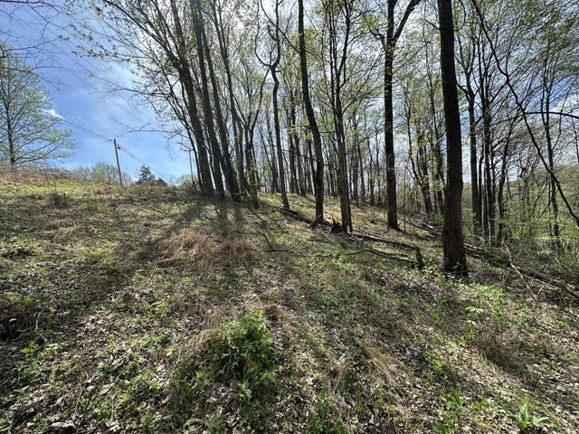 0 Maggart Rd, Elmwood, TN 38560
