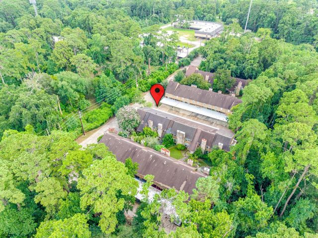 1011 Hamblen Road 306, Houston, TX 77339