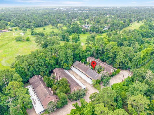 1011 Hamblen Road 306, Houston, TX 77339