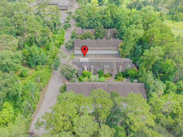 1011 Hamblen Road 306, Houston, TX 77339