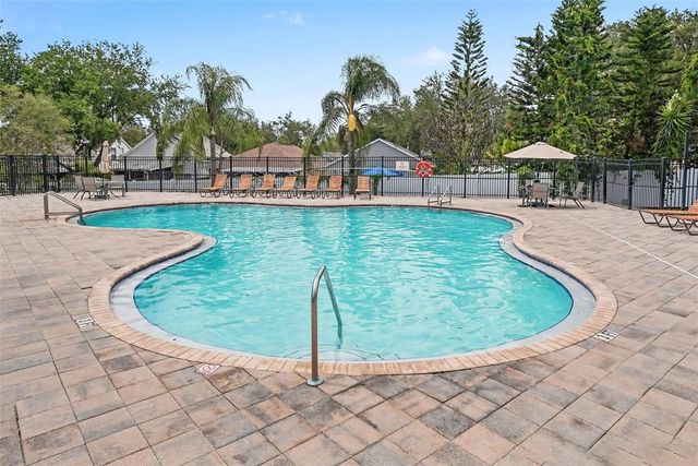217 PENMARK STONE PLACE, Valrico, FL 33594