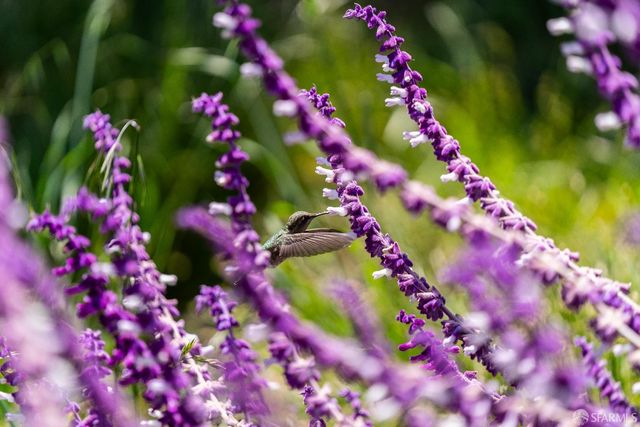 52 Kirkwood Avenue 416, San Francisco, CA 94124