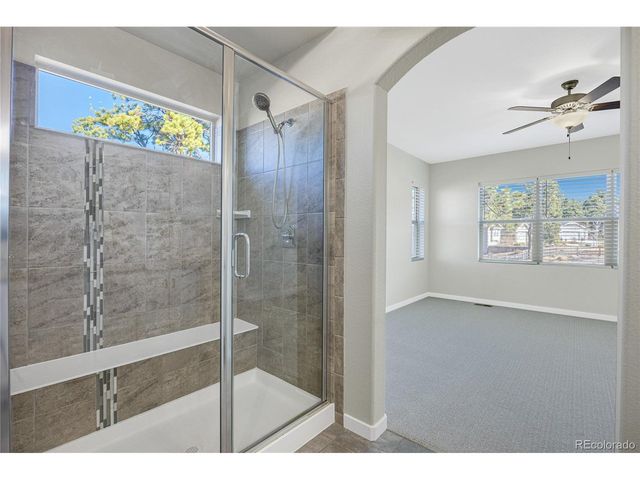 928 Graywoods Ter, Monument, CO 80132