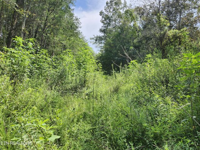 340 Swadis Drive, Sevierville, TN 37876