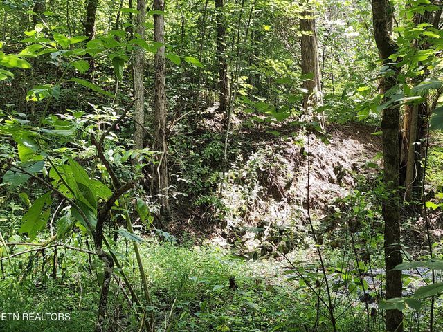 340 Swadis Drive, Sevierville, TN 37876