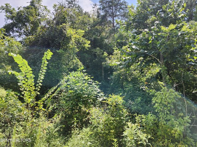 340 Swadis Drive, Sevierville, TN 37876
