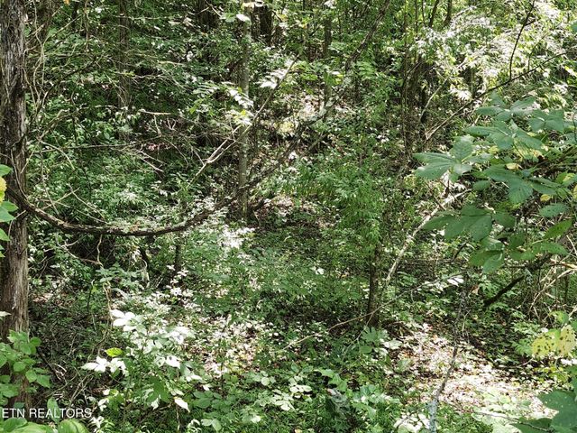 340 Swadis Drive, Sevierville, TN 37876