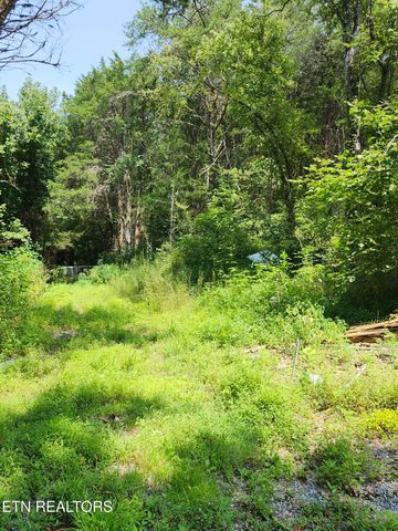 340 Swadis Drive, Sevierville, TN 37876