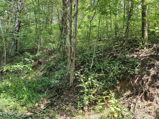 340 Swadis Drive, Sevierville, TN 37876