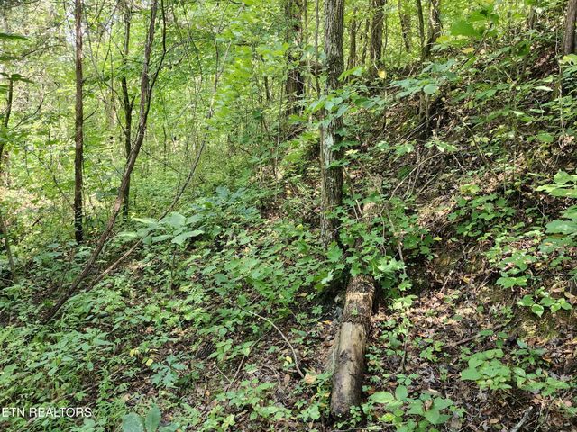 340 Swadis Drive, Sevierville, TN 37876