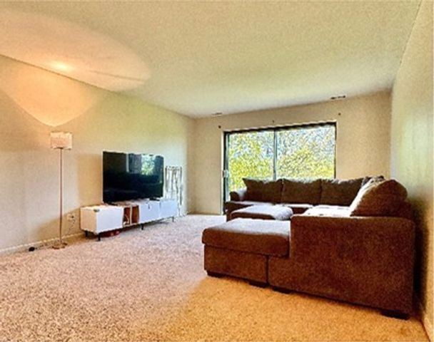 1018 Castilian Court 209, Glenview, IL 60025