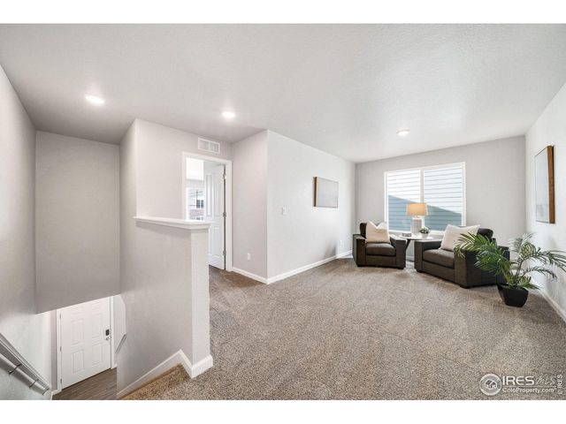 310 Shoveler Way, Johnstown, CO 80534