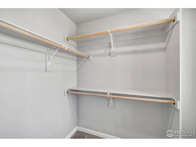 310 Shoveler Way, Johnstown, CO 80534