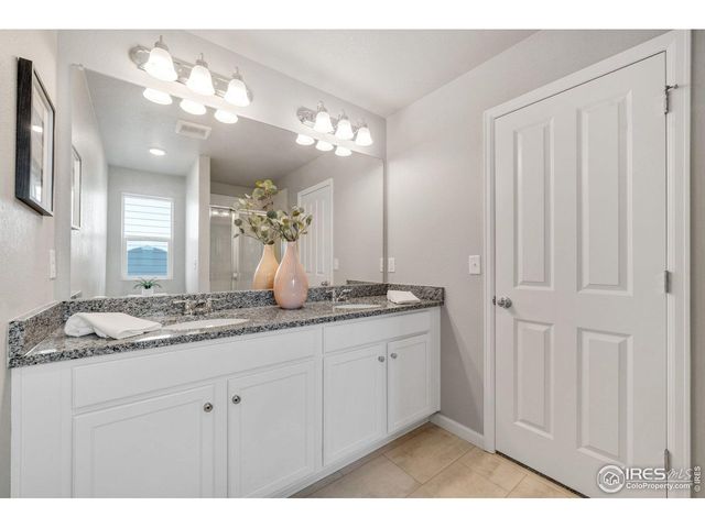 310 Shoveler Way, Johnstown, CO 80534