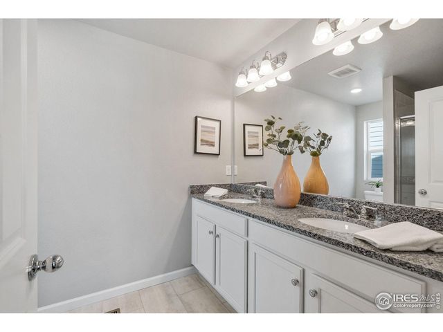 310 Shoveler Way, Johnstown, CO 80534