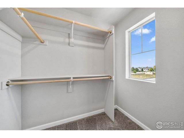 310 Shoveler Way, Johnstown, CO 80534