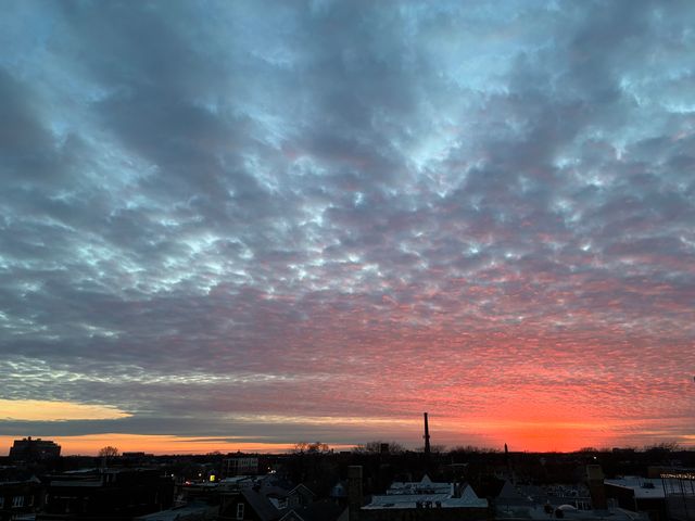 4846 N CLARK Street 510, Chicago, IL 60640