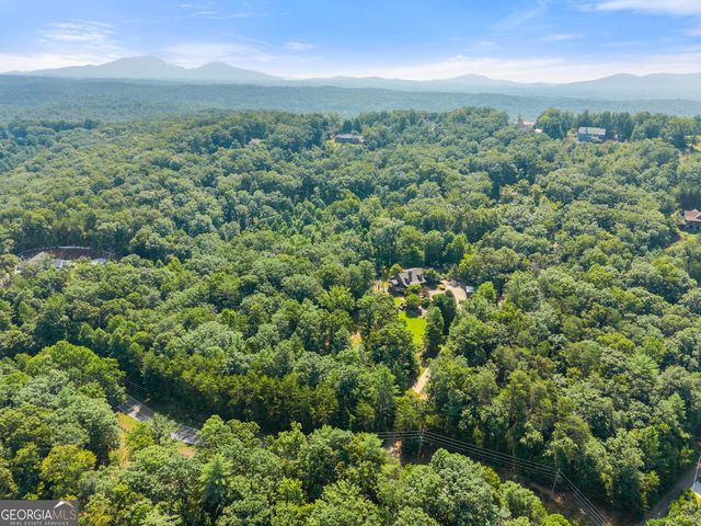 1401 Adair Mill Road, Cleveland, GA 30528