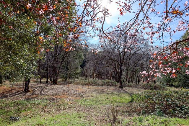 1300 Sierra Oak Ln, Colfax, CA 95713