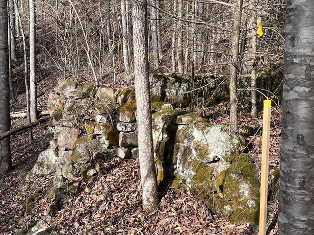 6750 Old Walland Highway, Townsend, TN 37882