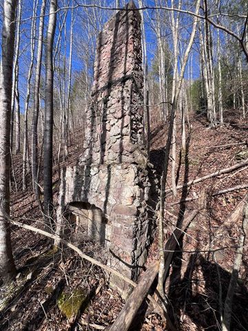 6750 Old Walland Highway, Townsend, TN 37882
