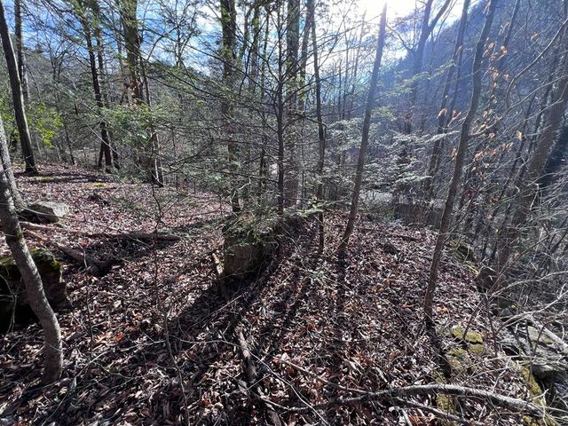 6750 Old Walland Highway, Townsend, TN 37882