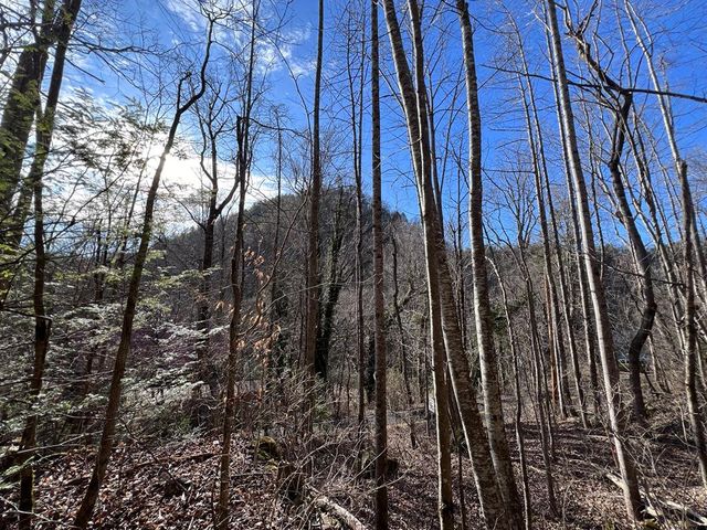 6750 Old Walland Highway, Townsend, TN 37882