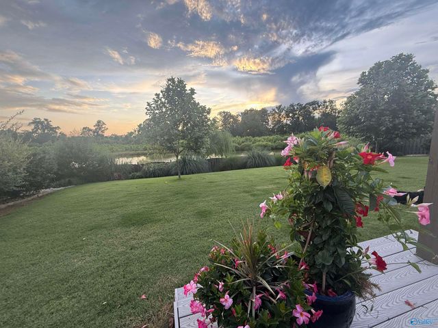 141 Bowdock Drive, Madison, AL 35756