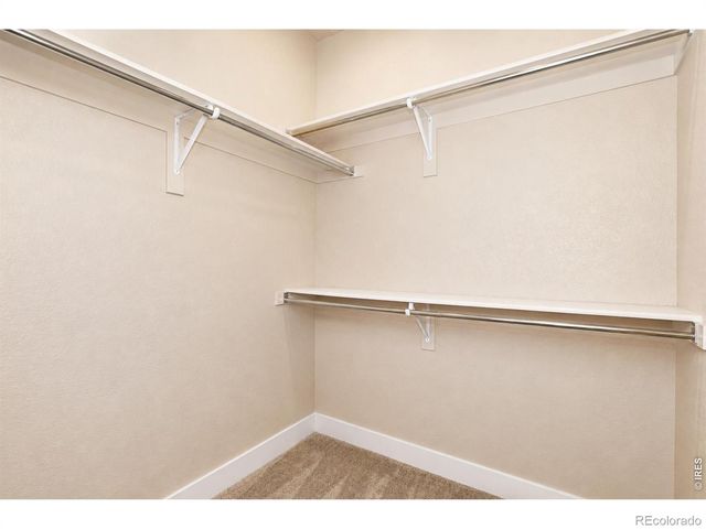 3425 Triano Creek Drive 203, Loveland, CO 80538