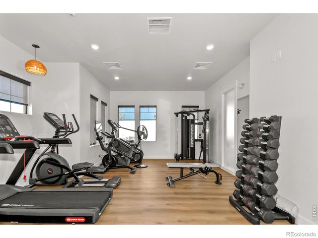 3425 Triano Creek Drive 203, Loveland, CO 80538