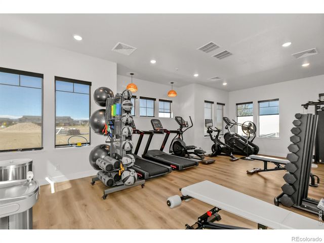 3425 Triano Creek Drive 203, Loveland, CO 80538