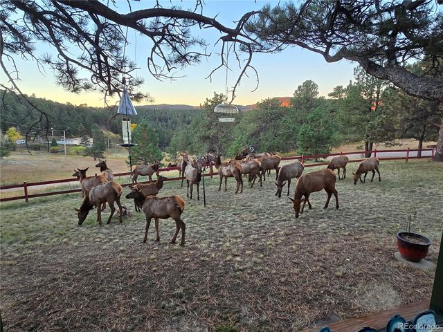 22901 Pinecrest Road, Golden, CO 80401