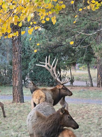 22901 Pinecrest Road, Golden, CO 80401