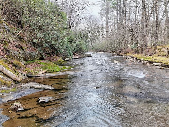 4790 Fires Creek Road, Hayesville, NC 28904
